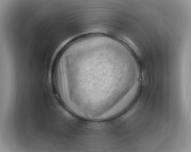 X0000111600780200907301446