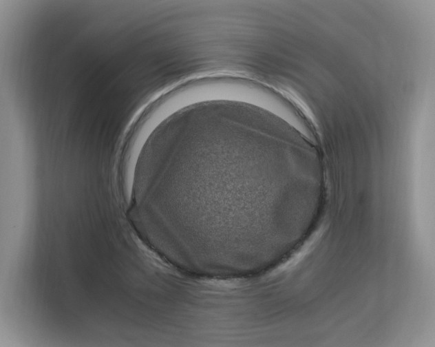 X0000111600781200907301446