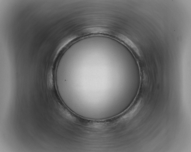 X0000111600782200907301446