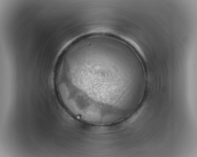 X0000111600783200907301446