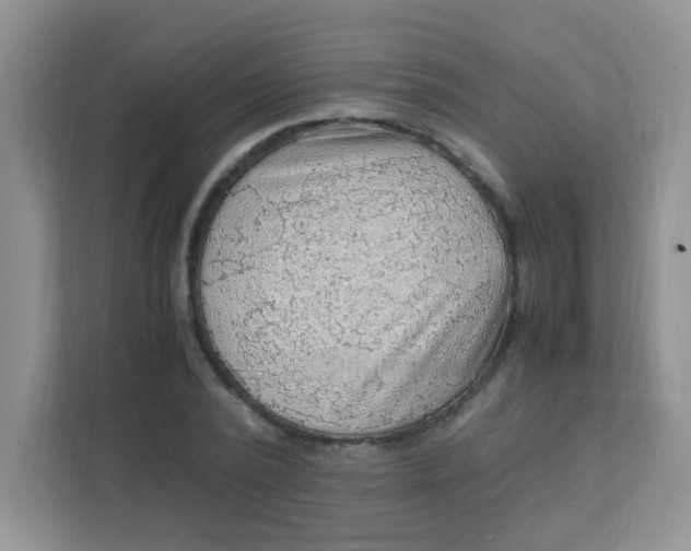 X0000111600784200907301446