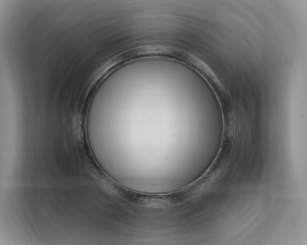 X0000111600786200907301446