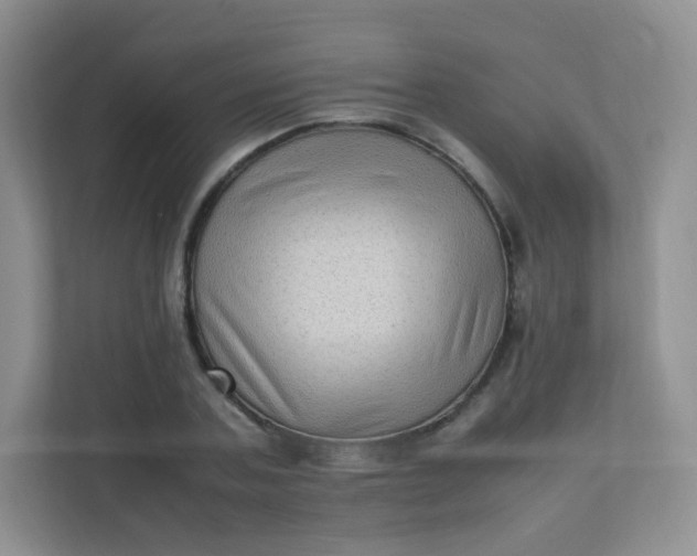 X0000111600787200907301446