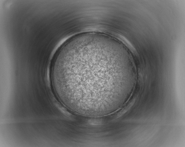 X0000111600788200907301446