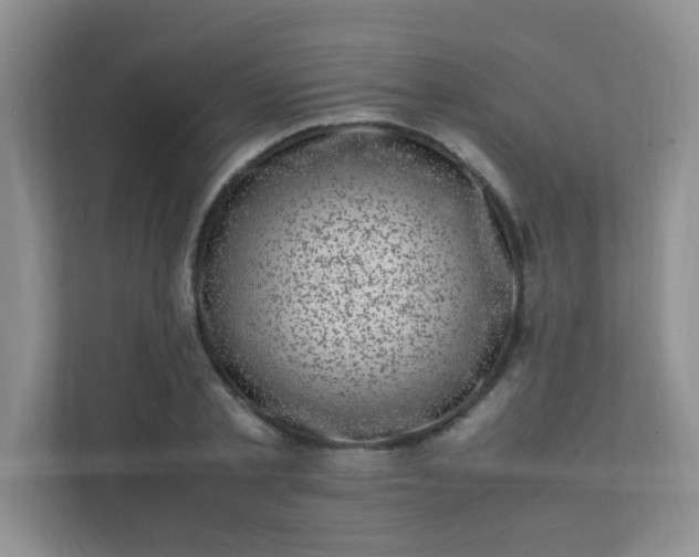 X0000111600789200907301446