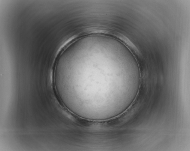 X0000111600790200907301446