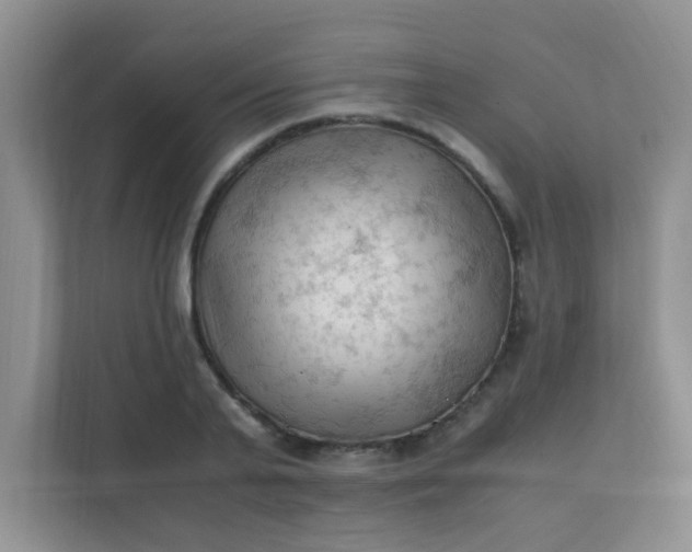 X0000111600791200907301446