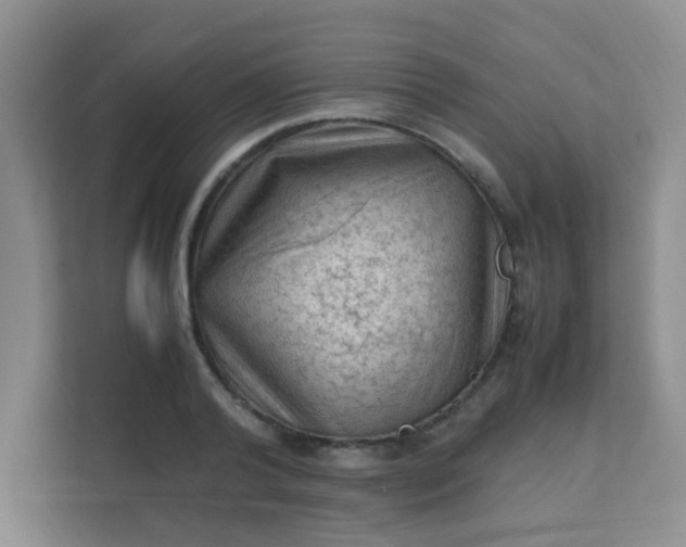 X0000111600792200907301446
