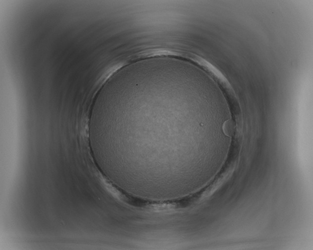 X0000111600793200907301446