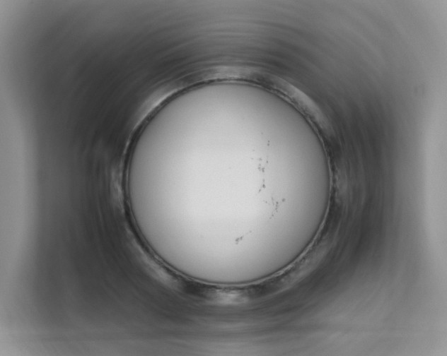 X0000111600794200907301446