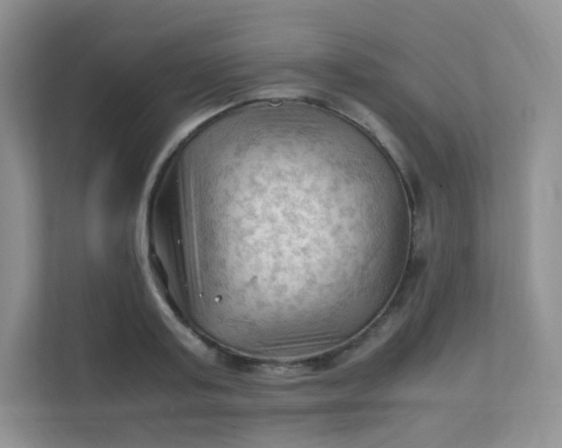 X0000111600795200907301445