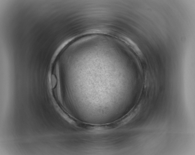 X0000111600796200907301445