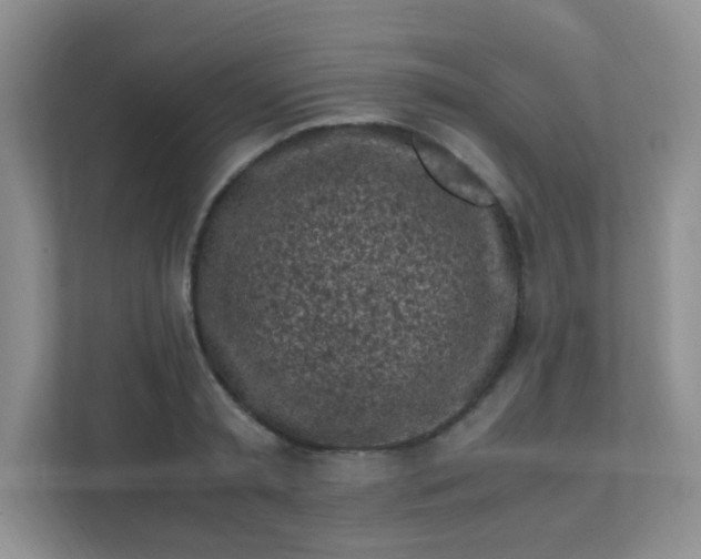 X0000111600797200907301445