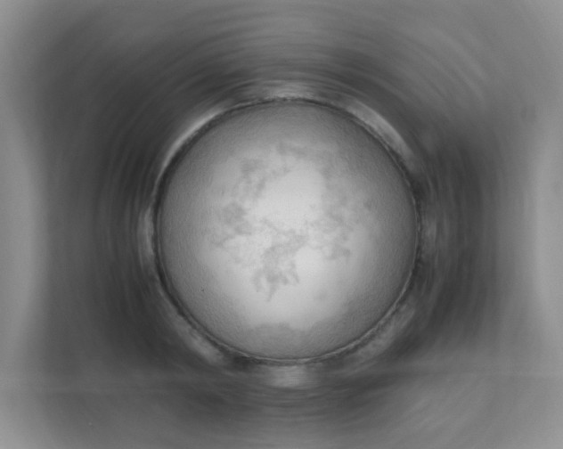 X0000111600798200907301445