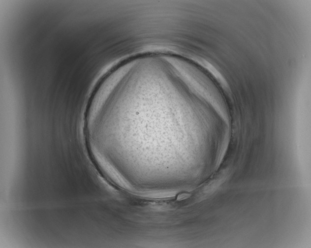 X0000111600799200907301445
