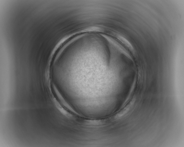 X0000111600800200907301445