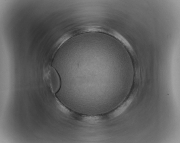 X0000111600801200907301445
