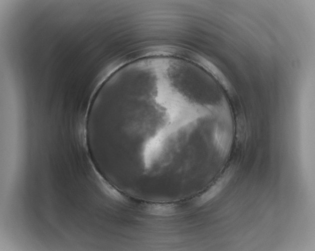 X0000111600802200907301445