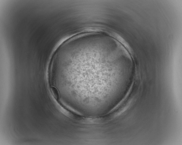 X0000111600803200907301445