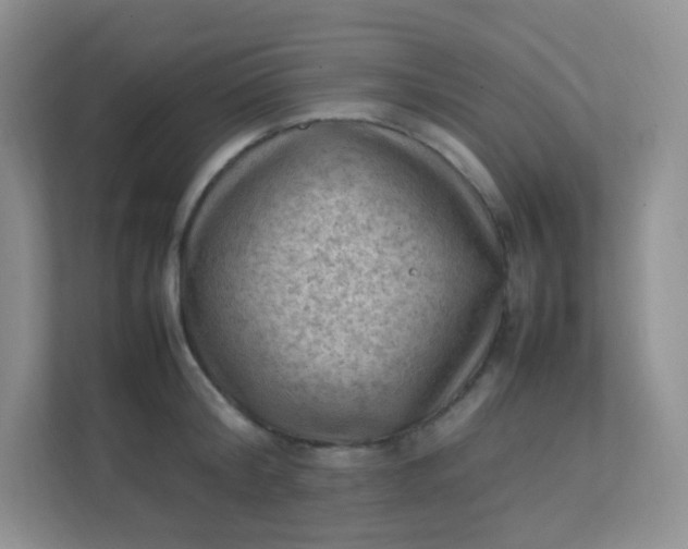 X0000111600804200907301445