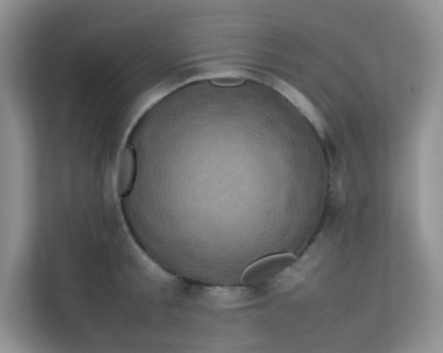 X0000111600805200907301445