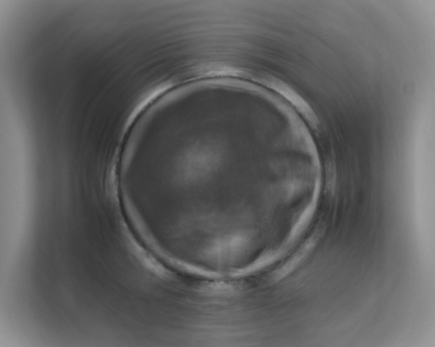 X0000111600806200907301445
