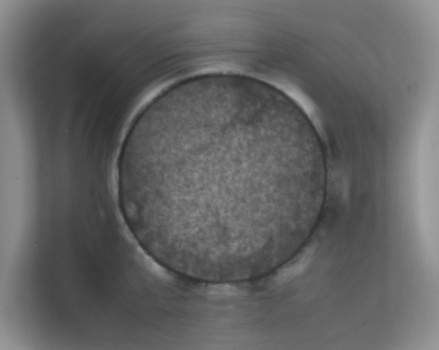X0000111600807200907301445