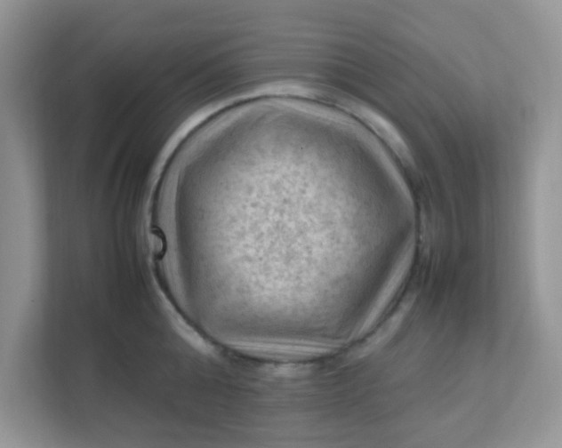 X0000111600808200907301445