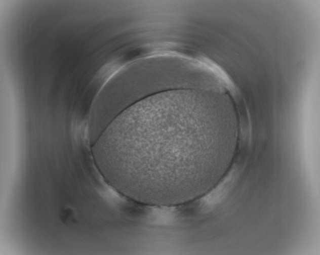X0000111600809200907301445