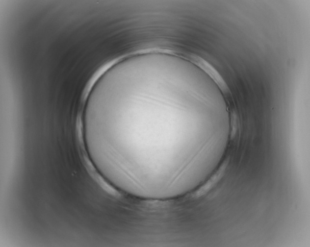 X0000111600812200907301445