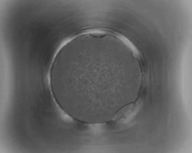 X0000111600813200907301445