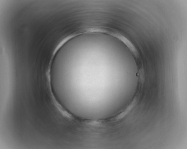 X0000111600814200907301445