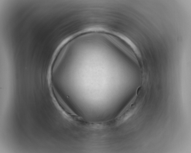 X0000111600815200907301445