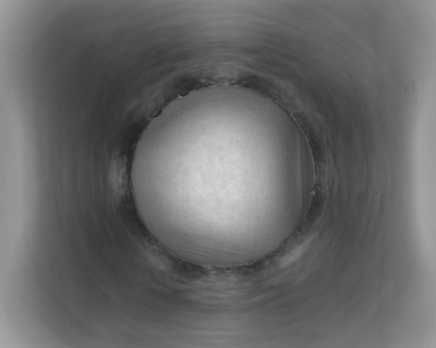 X0000111600818200907301445