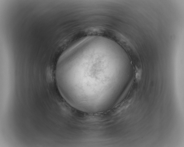 X0000111600819200907301445