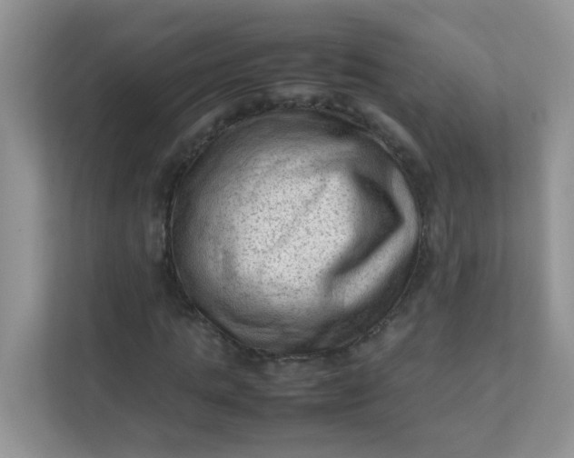 X0000111600821200907301445