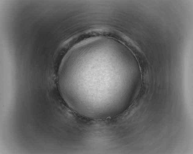 X0000111600822200907301445