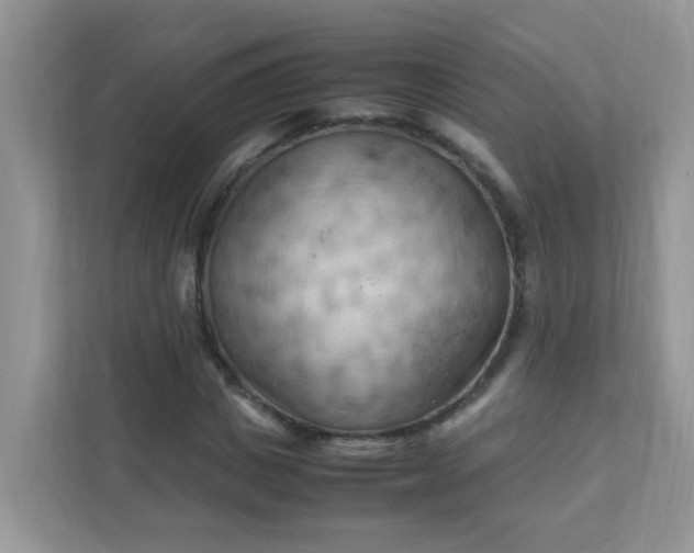 X0000111600825200907301445