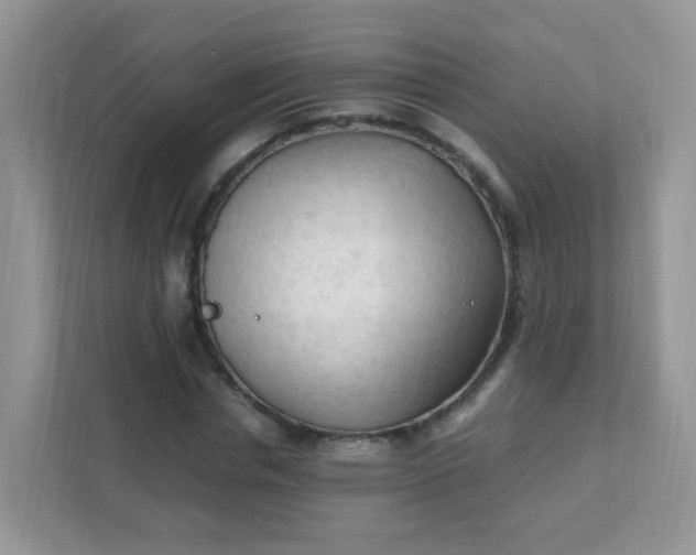 X0000111600826200907301445