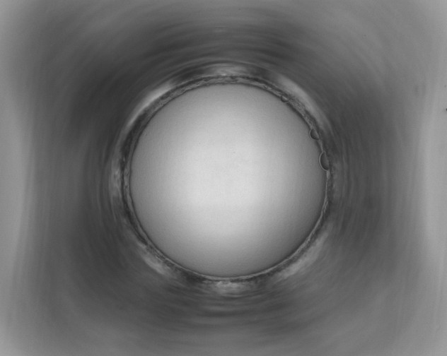 X0000111600827200907301445