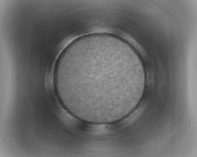 X0000111600828200907301445