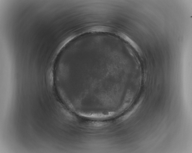 X0000111600829200907301445