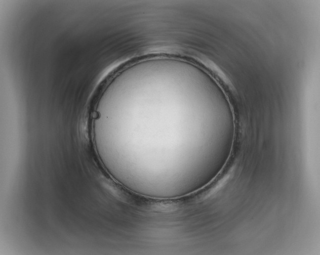 X0000111600830200907301445