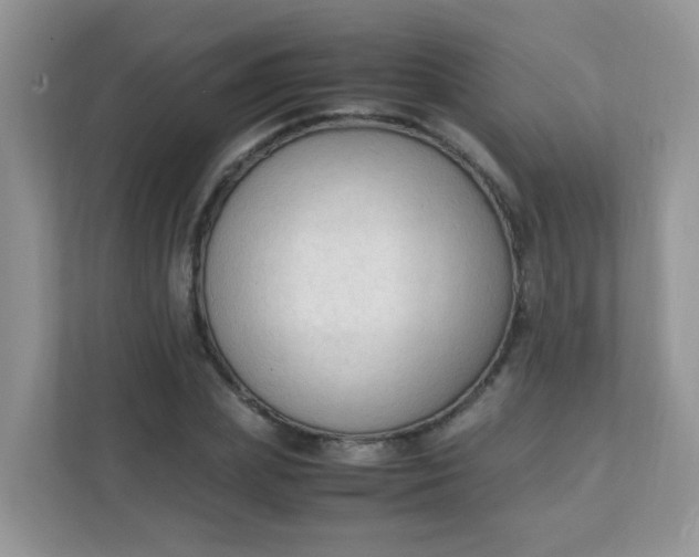X0000111600831200907301445