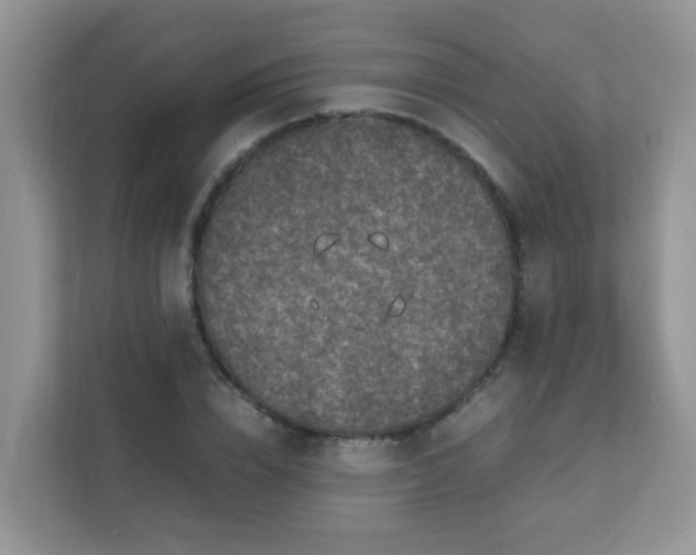 X0000111600832200907301445