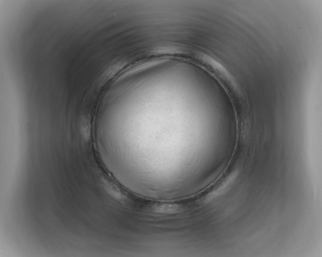 X0000111600833200907301445