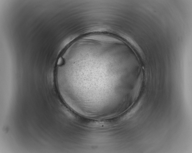 X0000111600834200907301445