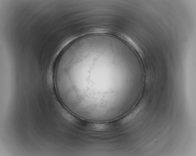 X0000111600835200907301445