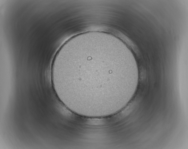 X0000111600836200907301445