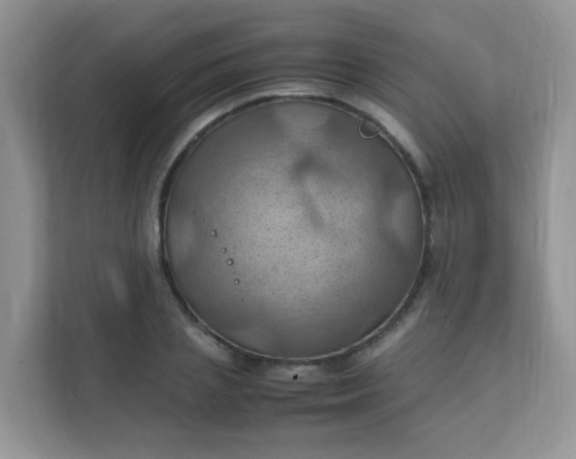X0000111600837200907301445